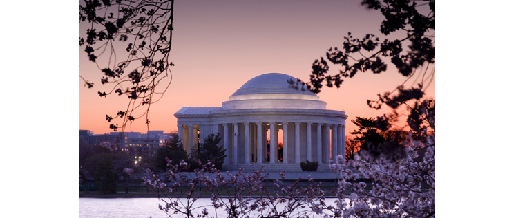 Washington Cherry Blossoms-New